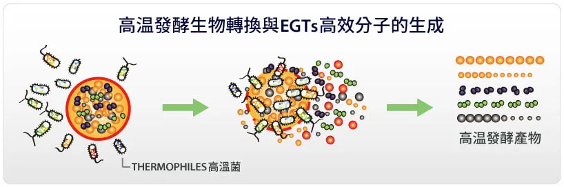 高温菌复合发酵平台 BioExpress机制